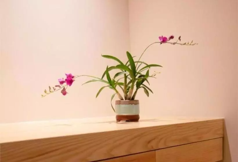 هتل Poltton International Apartment Liuzhou Yaobu Old Town
