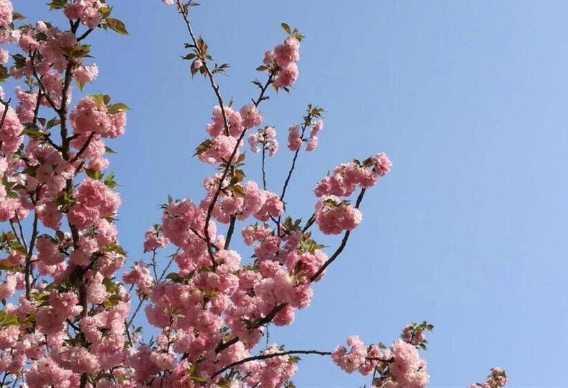 בית מלון כפרי Laibor International