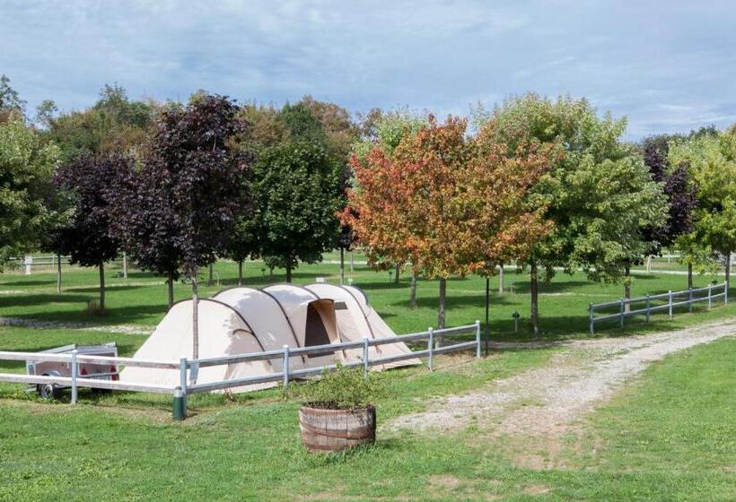 ホテル Agriturismo La Tesa