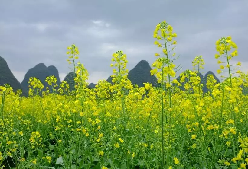 هاستل Yangshuo Eden Inn