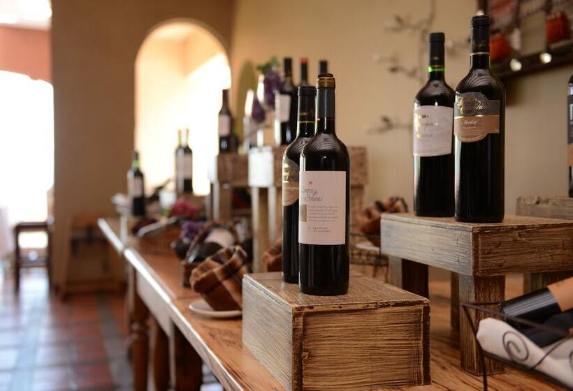 هتل Rosario Lago Titicaca