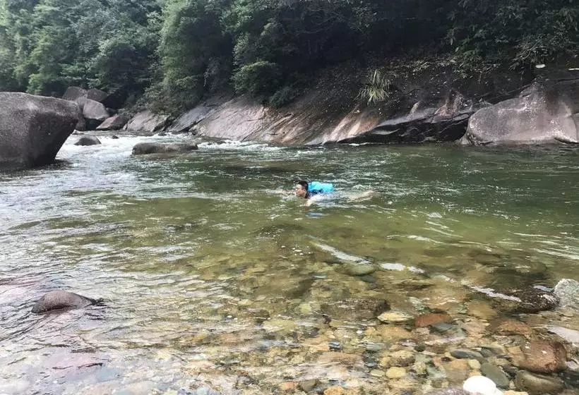 Wuyi Mountain Da Wang Peak Youth Hostel
