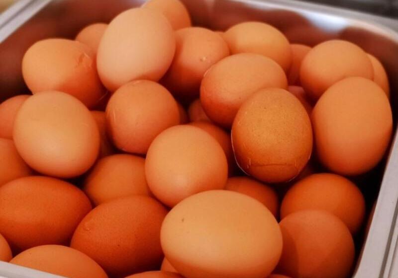 Hotel Greentree Inn Shanghai West Huaxia Road Metro Station Express