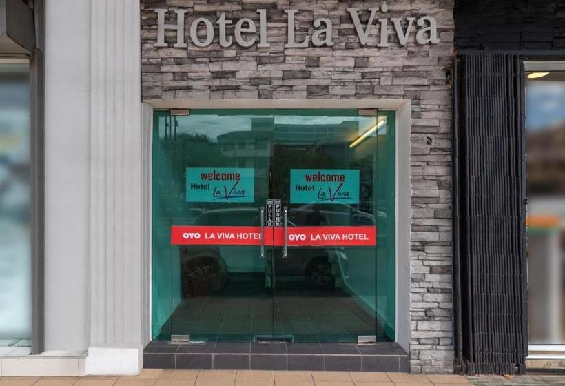 Fotos del hotel La Viva:  5