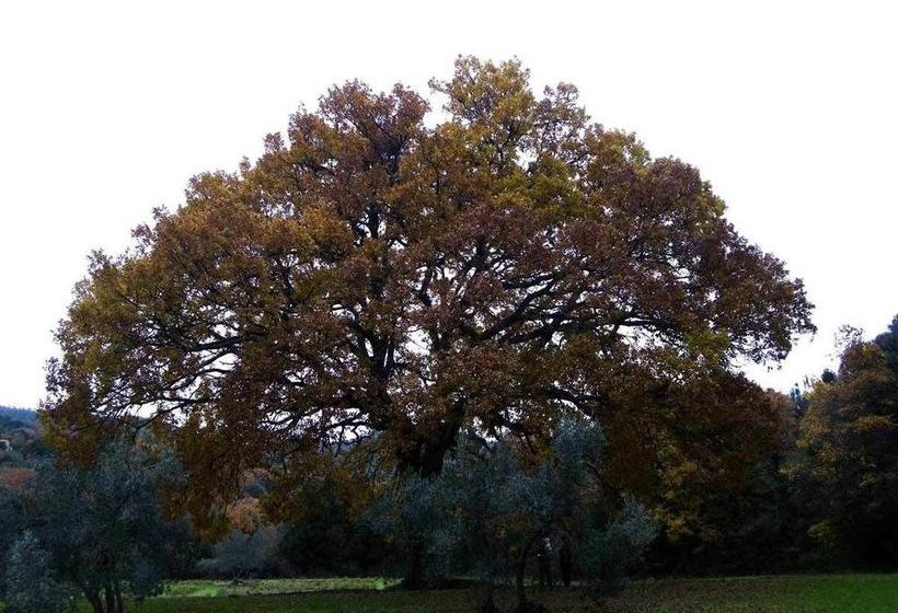 בית מלון כפרי Prato A Baldo