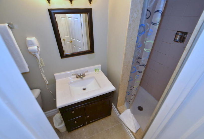 호텔 The Lodges At Blue Mountain - Wintergreen Condos