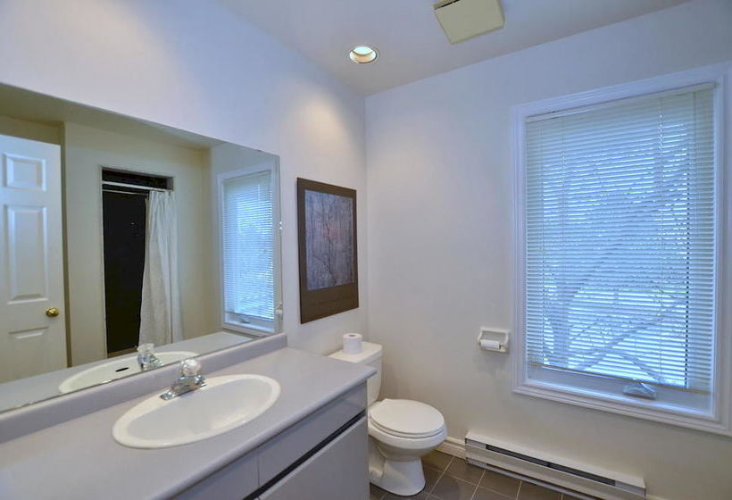 호텔 The Lodges At Blue Mountain - Wintergreen Condos