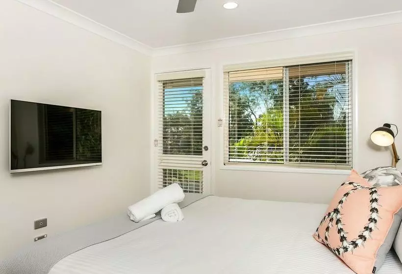 Tradewinds 4
