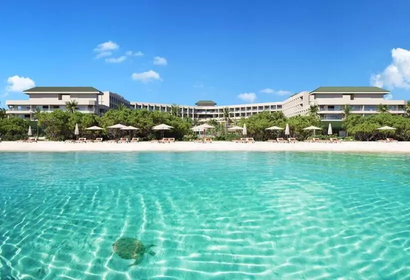 هتل Joia Aruba By Iberostar