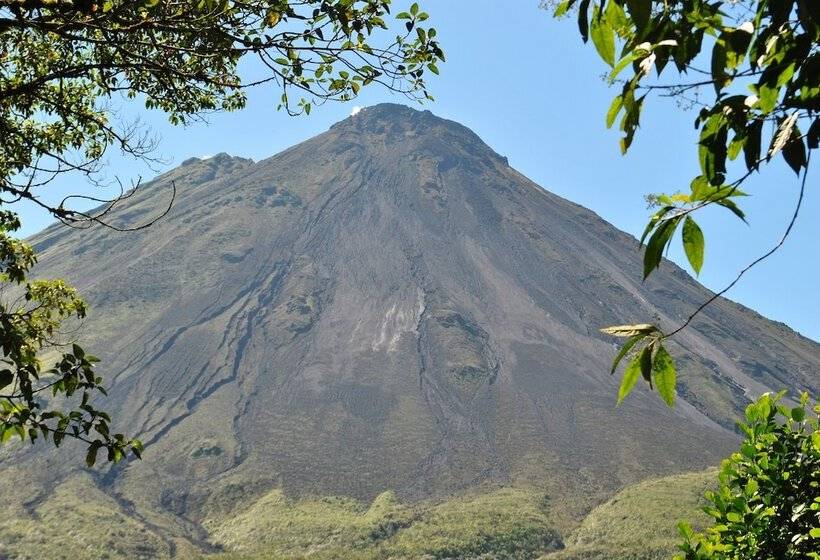 Отель Orquideas Boutique