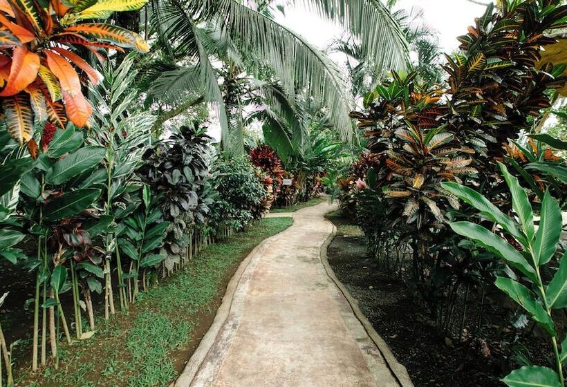 Отель Orquideas Boutique