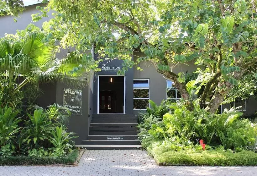 ベッドアンドブレックファースト Igwalagwala Guest House