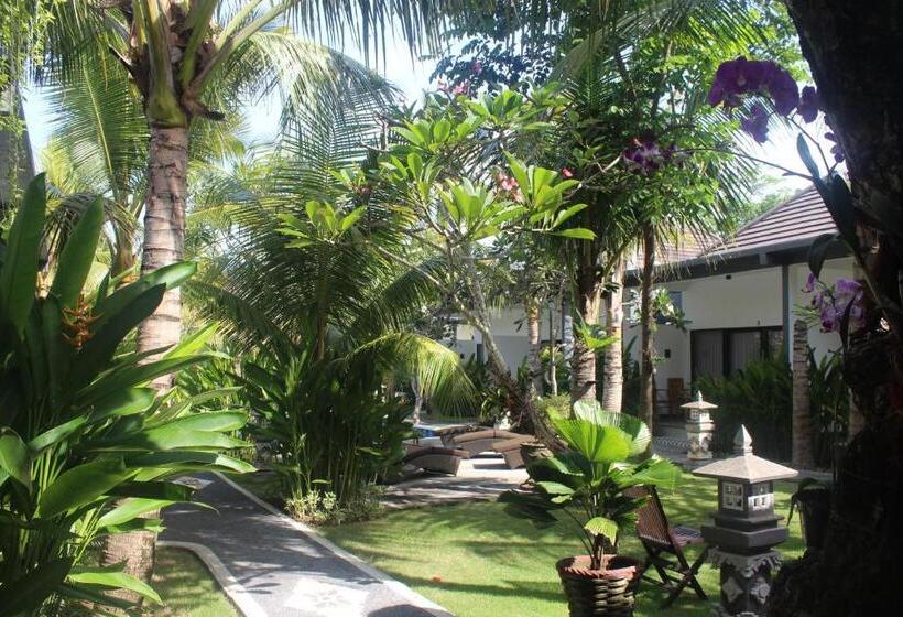 膳宿费 Palm Garden Bali