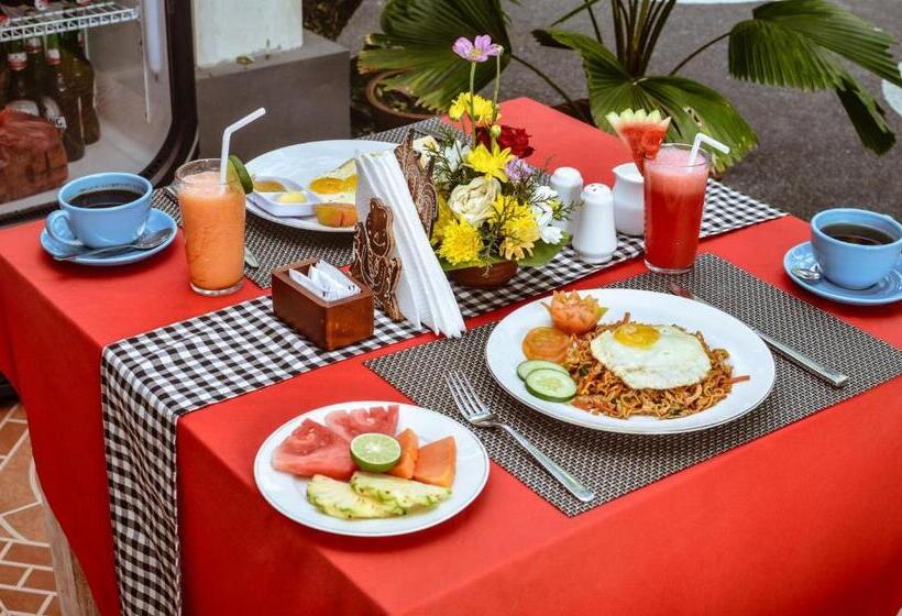 膳宿费 Palm Garden Bali