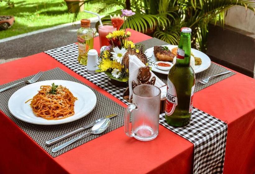 膳宿费 Palm Garden Bali