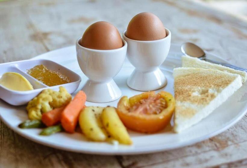 膳宿费 Palm Garden Bali