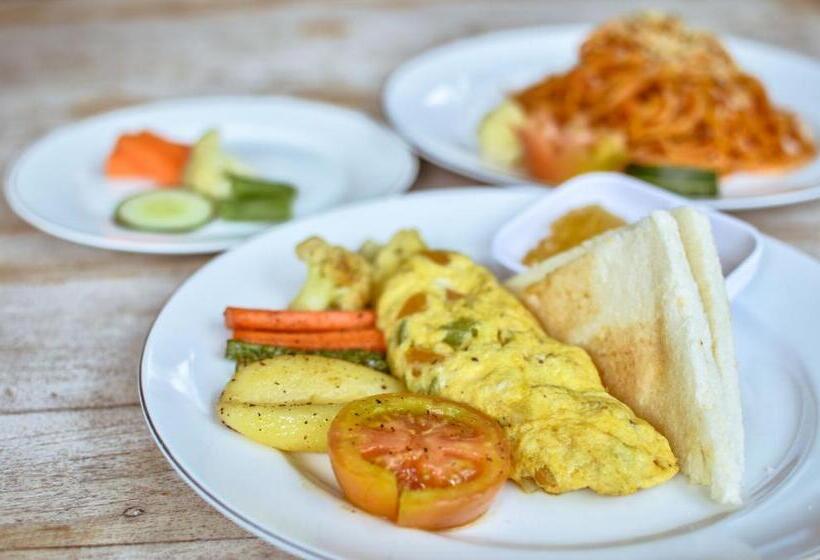 膳宿费 Palm Garden Bali