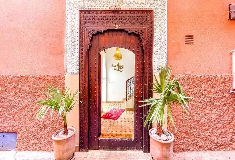 Riad Des Lys
