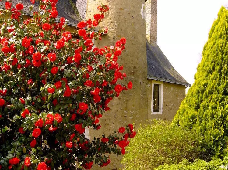 Aamiaismajoitus (B&B) Manoir Des Forges