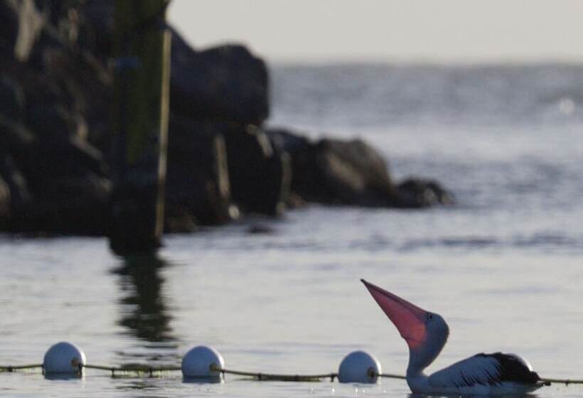 酒店 Tuncurry Motor Lodge