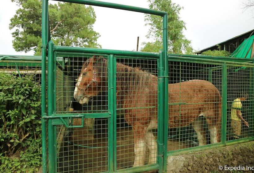Hotel Residence Inn Tagaytay