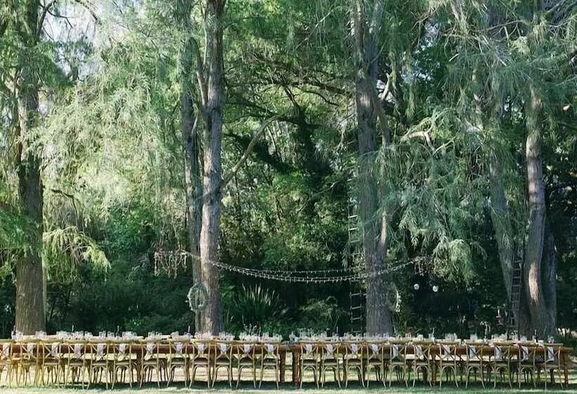 ペンション Montpellier De Tulbagh
