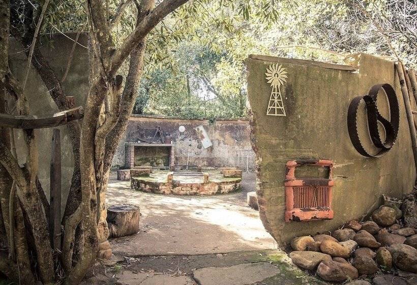 بنسيون Montpellier De Tulbagh