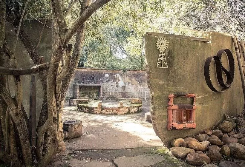 ペンション Montpellier De Tulbagh