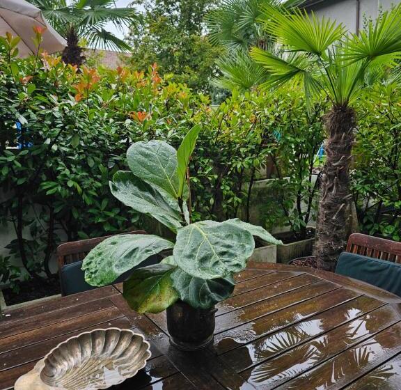 Victoria Royal Garden