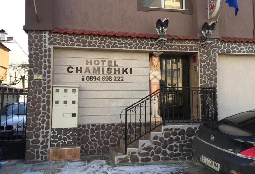 בית מלון כפרי Chamishki