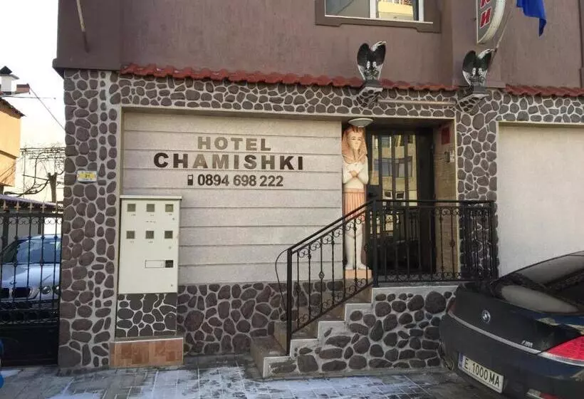 Hotel Chamishki
