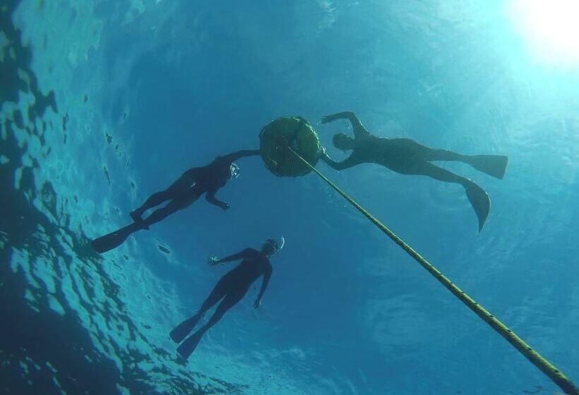 Общежитие Rustique Rue