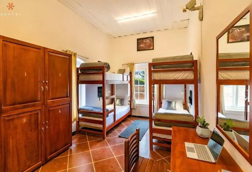 Retkeilymaja Zostel Plus Wayanad