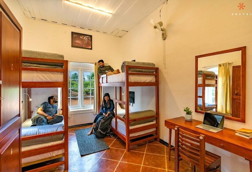 הוסטל Zostel Plus Wayanad