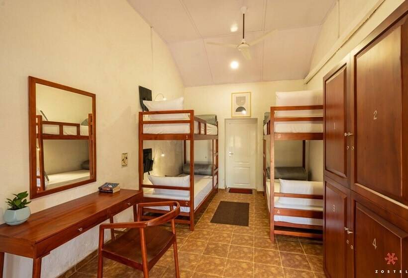 הוסטל Zostel Plus Wayanad
