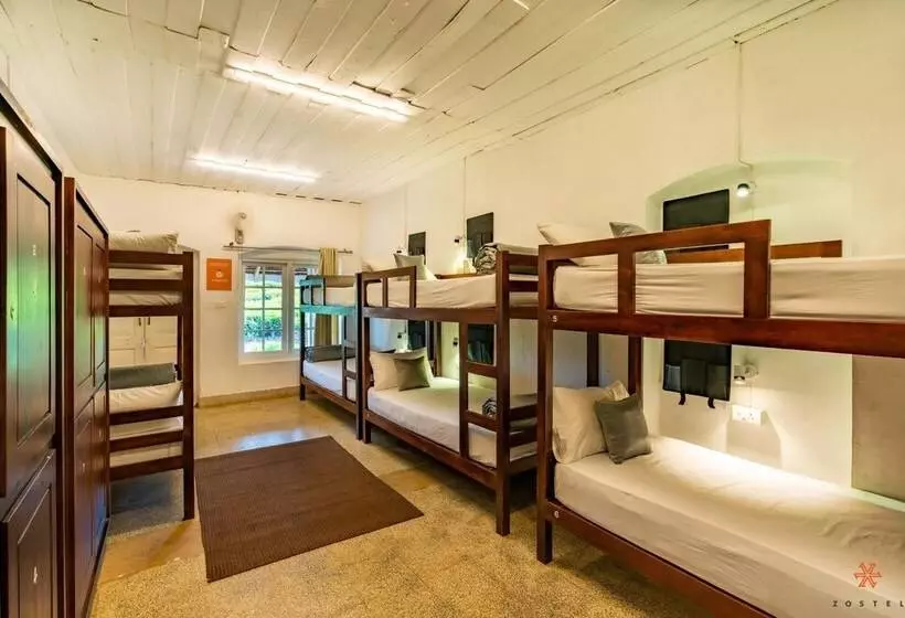 Retkeilymaja Zostel Plus Wayanad