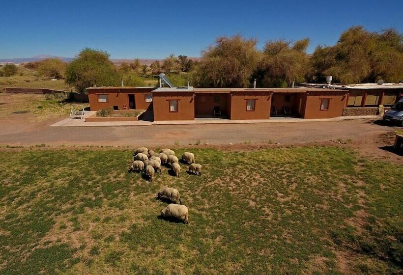 Hotel Terra Luna Atacama