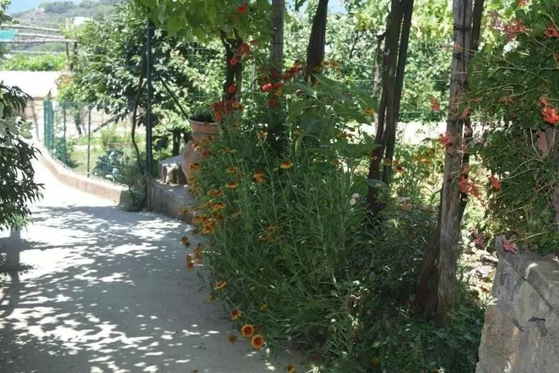 B&b Il Grappolo