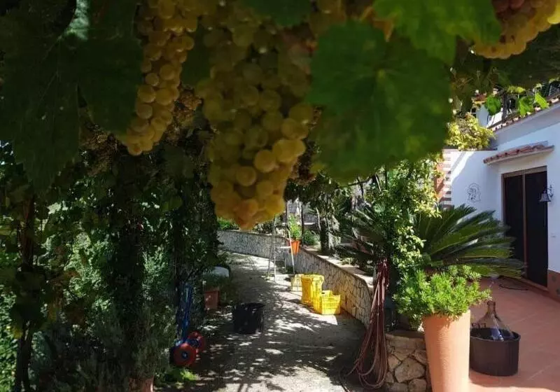 B&b Il Grappolo