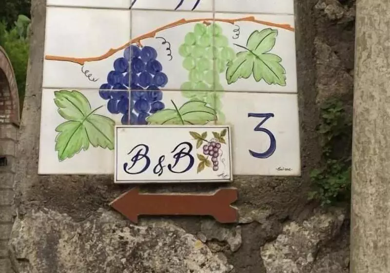 B&b Il Grappolo