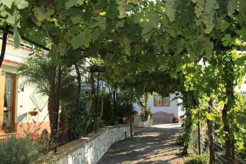 B&b Il Grappolo