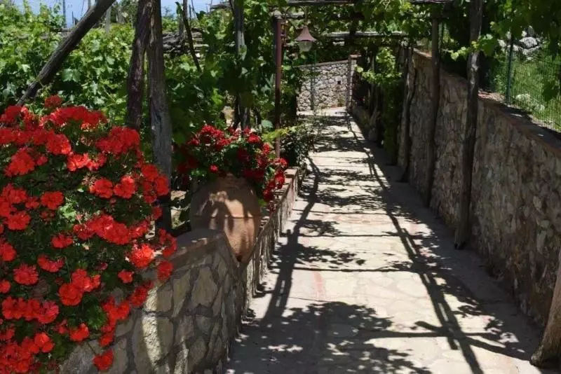 B&b Il Grappolo