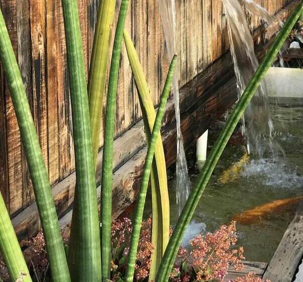 مبيت وإفطار Lavender Moon Guest House