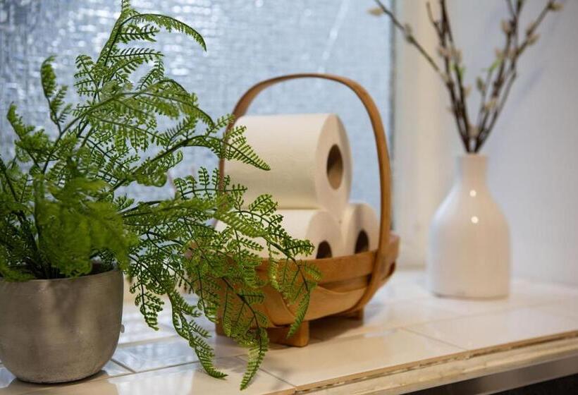 فندق فئة نجمة واحدة Kings Arms