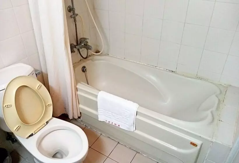 هتل Chungli Business