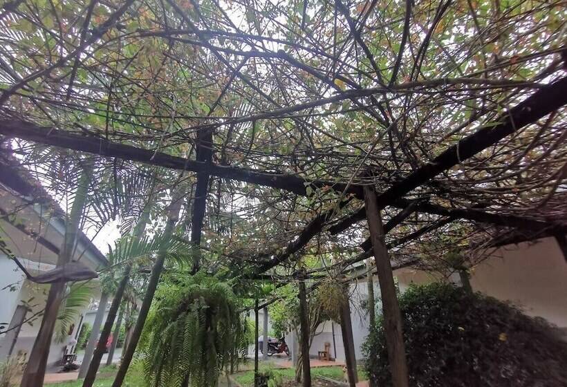 Отель แกรนด์ ฟอเรสท์ Grand Forest