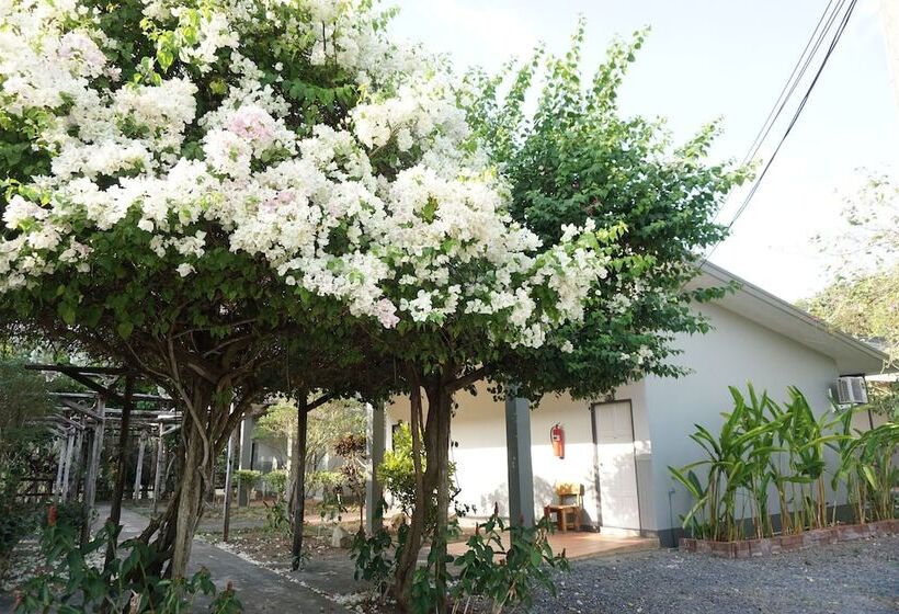 Отель แกรนด์ ฟอเรสท์ Grand Forest