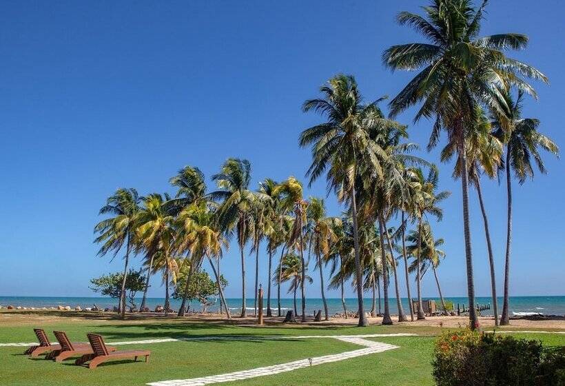 בית מלון כפרי Pelican Beach Resort - Dangriga