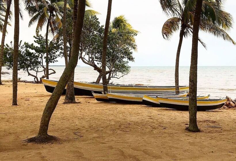 בית מלון כפרי Pelican Beach Resort - Dangriga