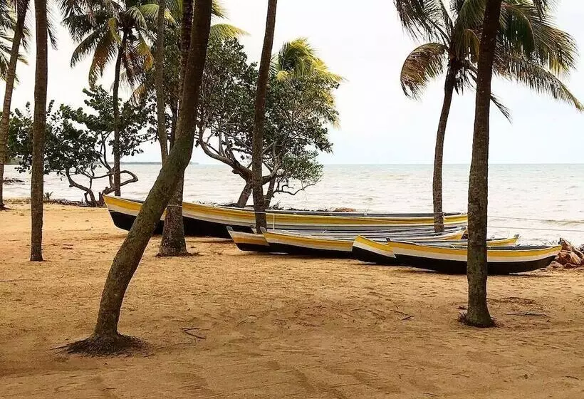 هتل Pelican Beach Resort - Dangriga